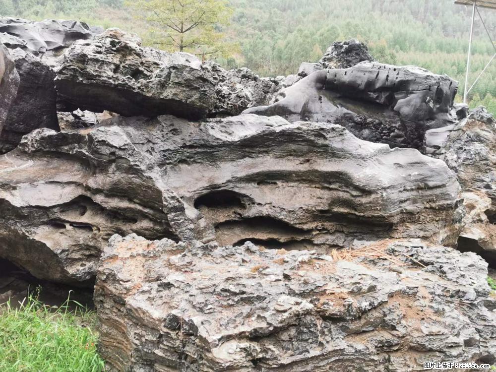 风景石、假山石大量有货,有需要的欢迎联系 - 新手上路 - 长治生活社区 - 长治28生活网 changzhi.28life.com