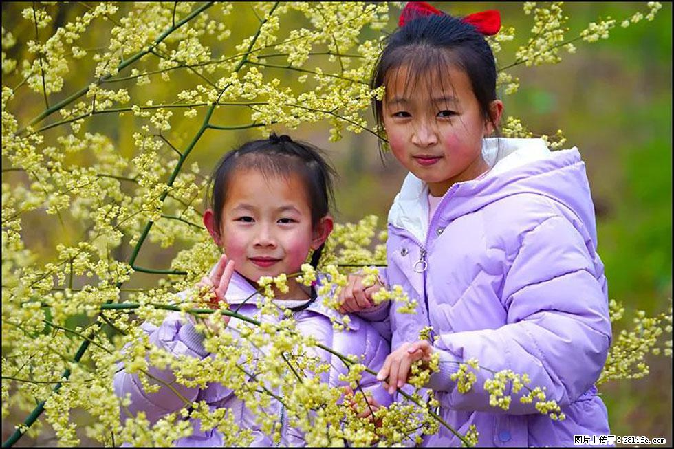 【春天，广西桂林灌阳县向您发出邀请！】米珠山前有片山苍子花在飘香 - 游山玩水 - 长治生活社区 - 长治28生活网 changzhi.28life.com