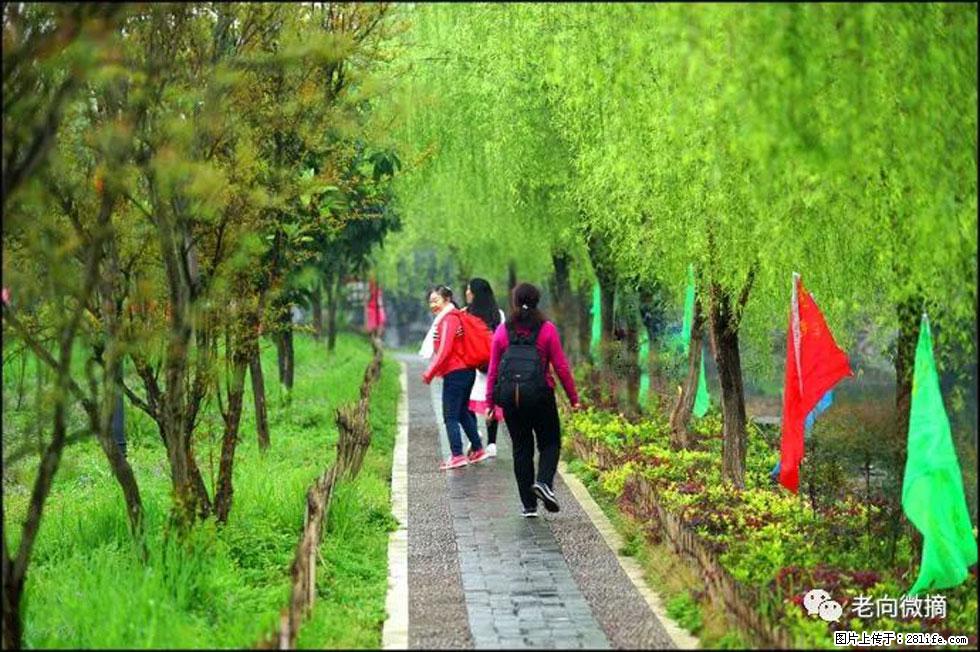【春天,广西桂林灌阳县向您发出邀请!】江口老街又逢春 - 游山玩水 - 长治生活社区 - 长治28生活网 changzhi.28life.com