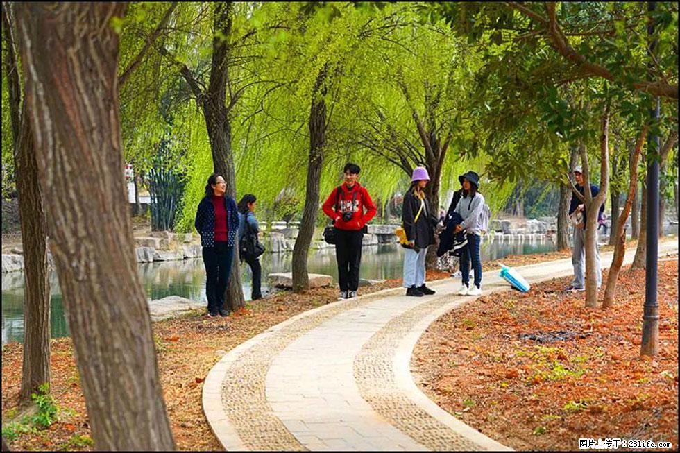 【春天,广西桂林灌阳县向您发出邀请!】江口老街又逢春 - 游山玩水 - 长治生活社区 - 长治28生活网 changzhi.28life.com