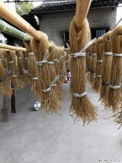 【灌阳正宗红薯粉】美女家里自己做的,干净卫生,假一赔十,价格合理,抢购电话:13737312895 - 长治28生活网 changzhi.28life.com