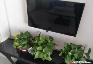 火车站附近 可半年付 精装一居室 家具家电齐全 物业费低 - 长治28生活网 changzhi.28life.com
