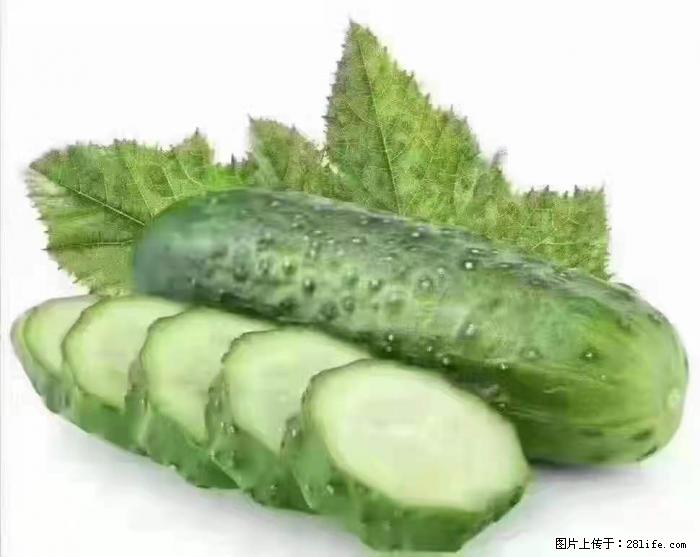 【生活小常识】吃黄瓜的好处 - 生活百科 - 长治生活社区 - 长治28生活网 changzhi.28life.com