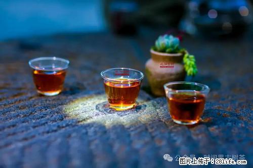 时间果百年古树2025年春红茶 - 购物交流 - 长治生活社区 - 长治28生活网 changzhi.28life.com