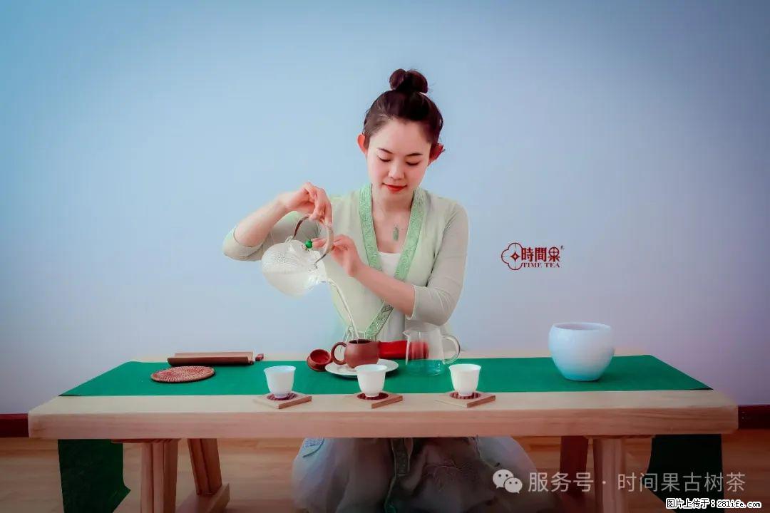 时间果百年古树龙珠普洱生茶 - 购物交流 - 长治生活社区 - 长治28生活网 changzhi.28life.com