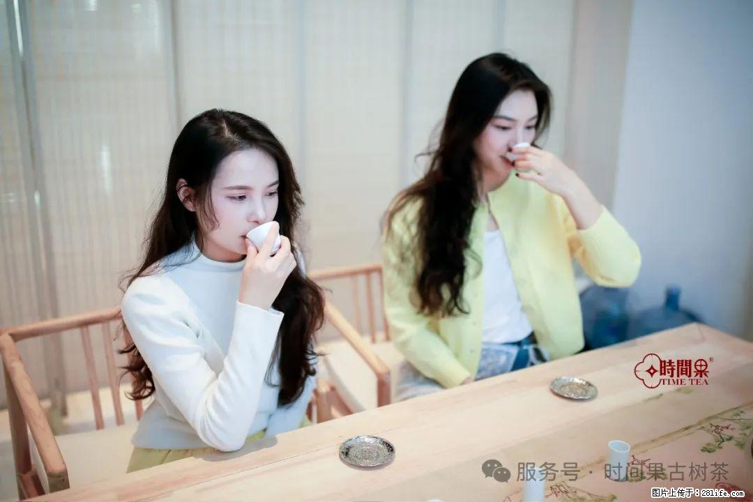 时间果百年古树龙珠普洱生茶 - 购物交流 - 长治生活社区 - 长治28生活网 changzhi.28life.com