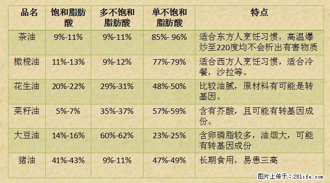 揭秘茶油的5大核心营养成分!被称为人体健康的“守护盾”! - 长治生活资讯 - 长治28生活网 changzhi.28life.com