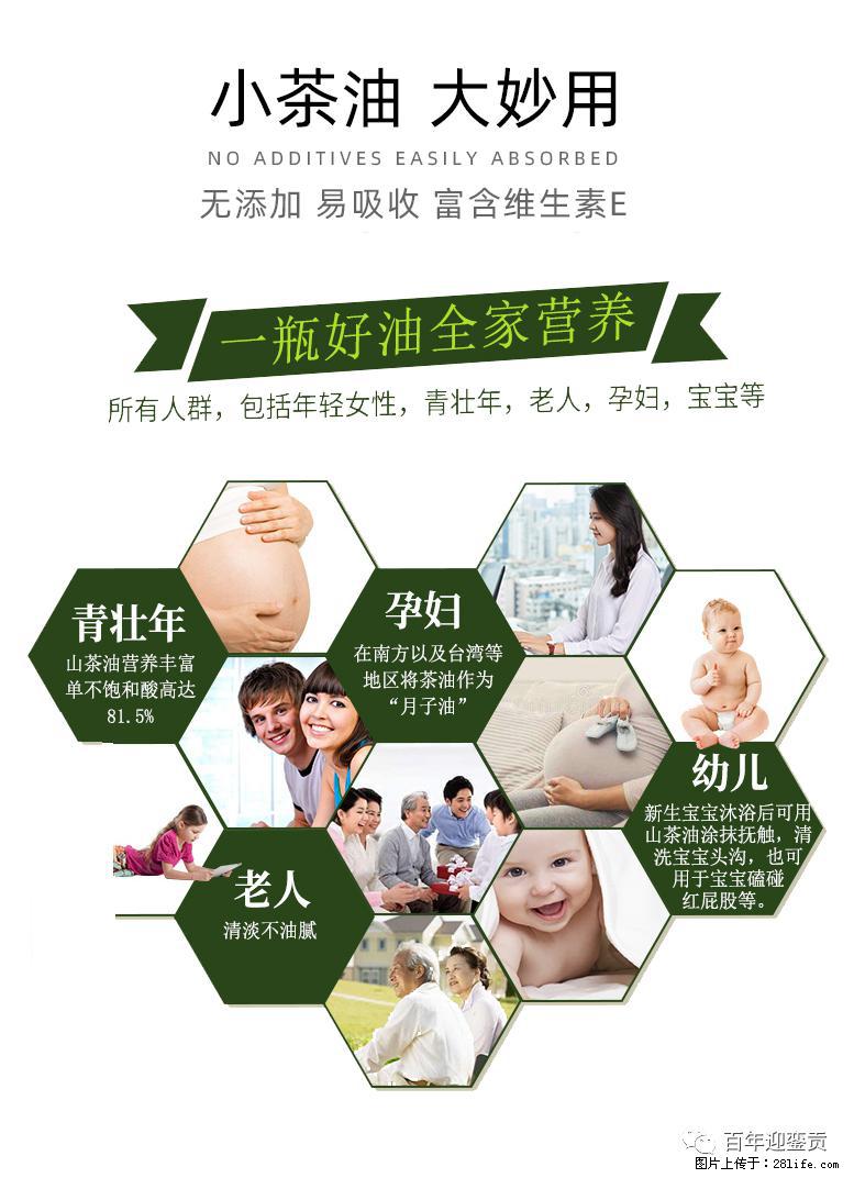 世界没有真相,只有认知,最好的食用油是中国的山茶油! - 长治生活资讯 - 长治28生活网 changzhi.28life.com
