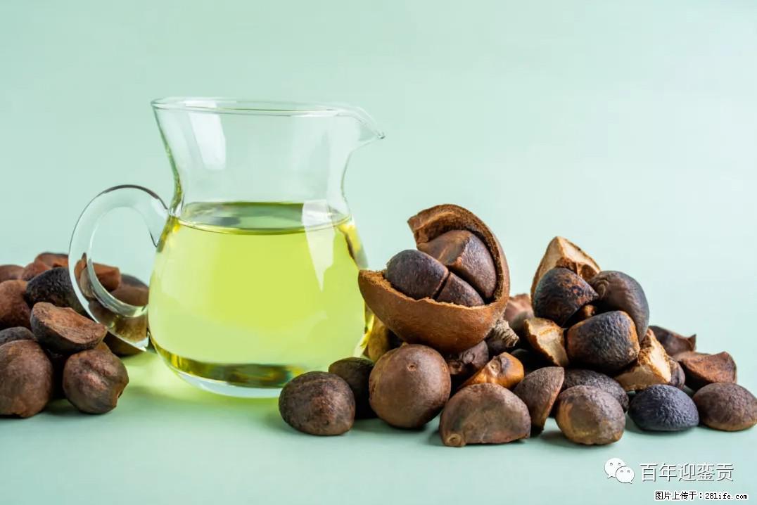 世界没有真相,只有认知,最好的食用油是中国的山茶油! - 长治生活资讯 - 长治28生活网 changzhi.28life.com