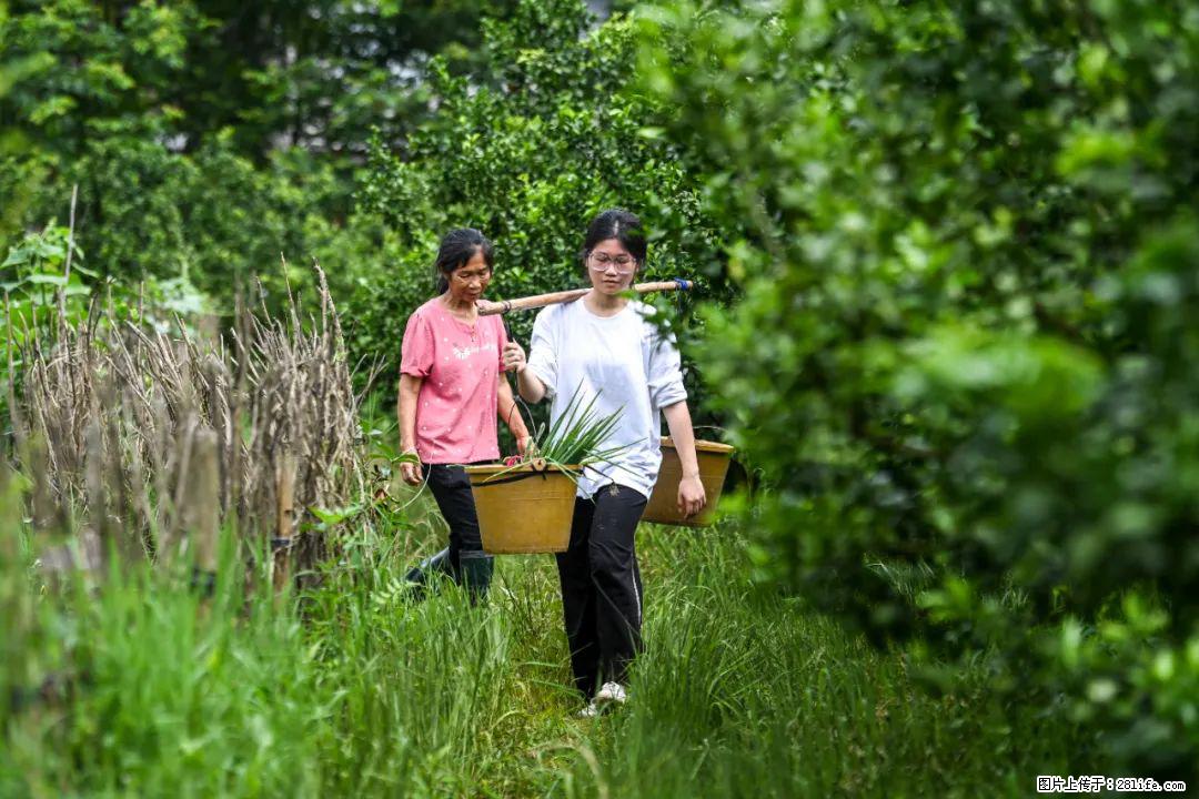 全网追的“扁担女孩”，找了一份暑假工，时薪12元 - 长治生活资讯 - 长治28生活网 changzhi.28life.com
