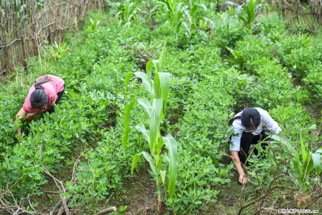 全网追的“扁担女孩”，找了一份暑假工，时薪12元 - 长治生活资讯 - 长治28生活网 changzhi.28life.com