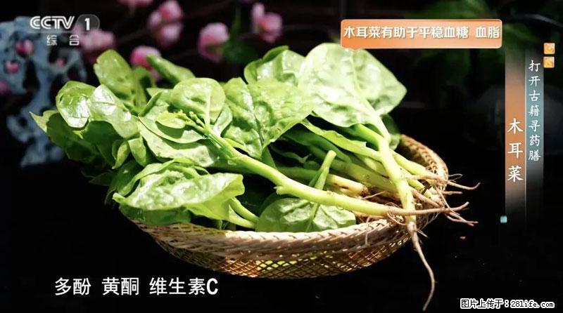 比牛奶补钙还厉害!凉血解毒、稳血糖...这菜冬天必吃,很多人却当草 - 长治生活资讯 - 长治28生活网 changzhi.28life.com