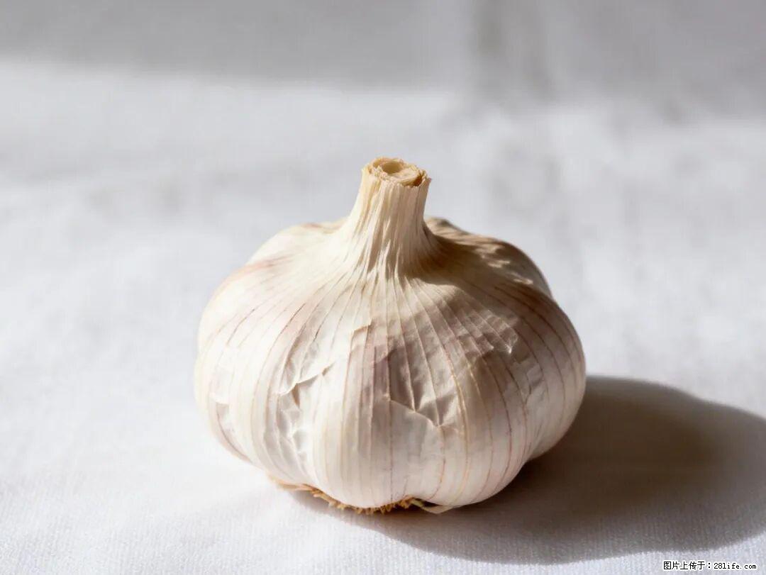 关于大蒜，除了“天然抗生素”，这4个谣言更该警惕! - 长治生活资讯 - 长治28生活网 changzhi.28life.com