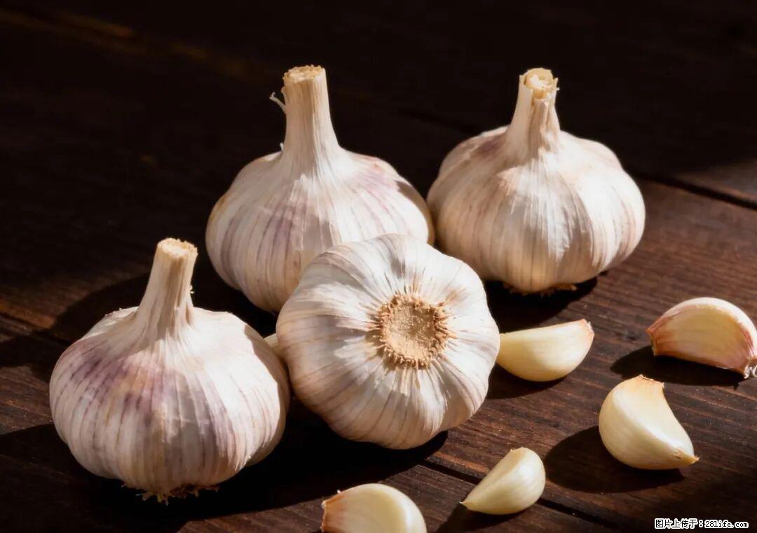 关于大蒜，除了“天然抗生素”，这4个谣言更该警惕! - 长治生活资讯 - 长治28生活网 changzhi.28life.com