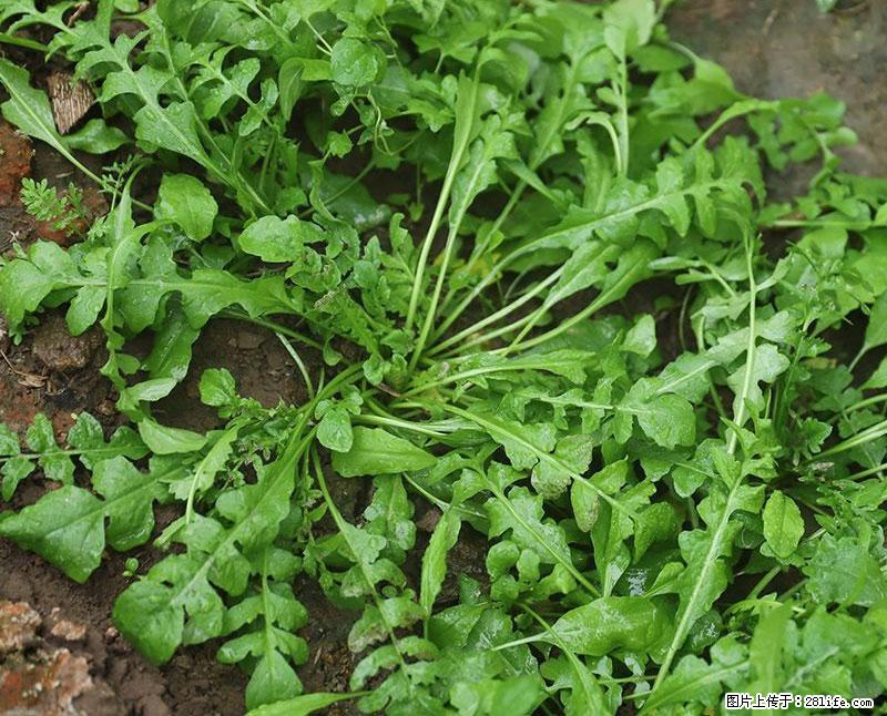 这些蔬菜是“天然钙片”，这6种被医生重点推荐 - 长治生活资讯 - 长治28生活网 changzhi.28life.com