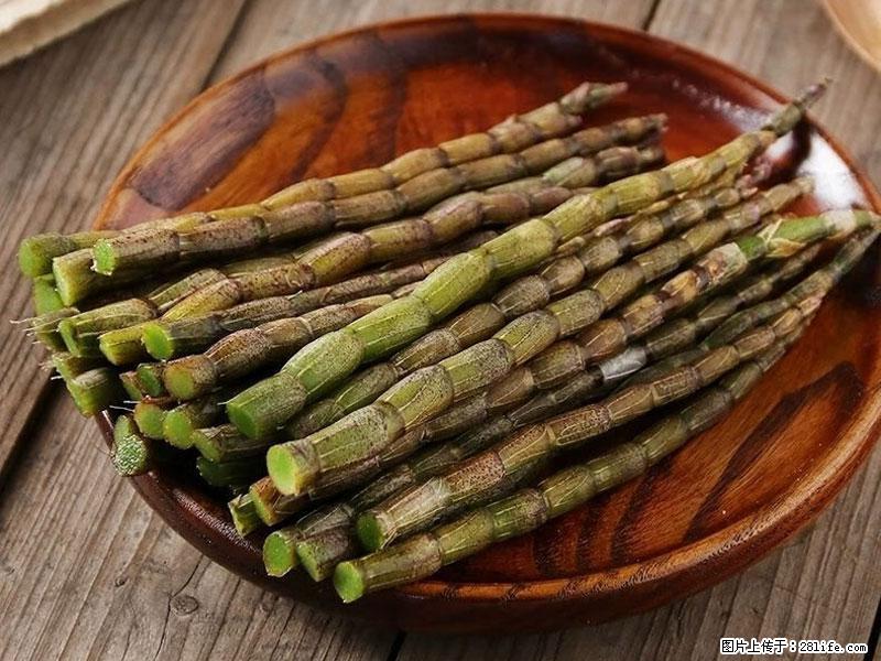 铁皮石斛的作用与功能主治 - 长治生活资讯 - 长治28生活网 changzhi.28life.com